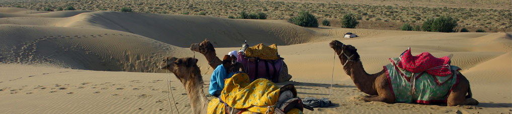  Rajasthan Desert safari Tour